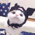 三岁73220头像