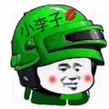 小李子53453头像