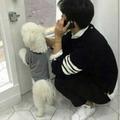 吾〆等一束花開头像