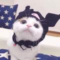 赵大甜528头像