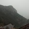 万迅万顺头像