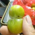远程汽修2头像