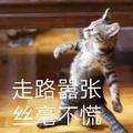 天天天天天命头像