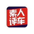 素人评车头像
