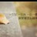 没空抽风儿5头像