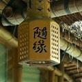 过客50359761头像