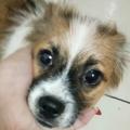 信仰152377747头像