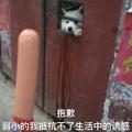 工地野生杠精头像