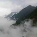 天涯1900503020601头像