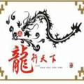 龙行天下31871189头像