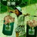 看淡一切1680头像