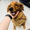 李大本事儿424头像