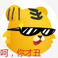 鹏程万里200811头像