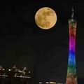 用户59481912562头像