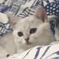 大浩哥15头像