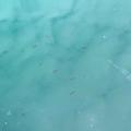 成为空气头像