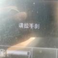 毅279895772头像