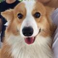 JeffersLYH · 宝马8系车主·车龄4年头像