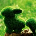 聪颖小猫MIE · 零跑C11车主·车龄2年头像