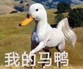 社会小佩奇158头像