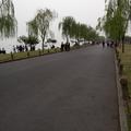 小七哥3611头像