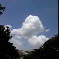 吴帝6355510965830头像