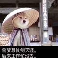 无言的风654头像