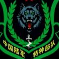 西伯利亞狼970头像