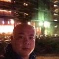 执着的孔雀fr头像