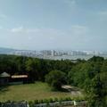 看破红尘238014174头像