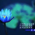 冢虎先生10头像