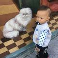 陈先生Tall头像