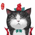 奕非来了头像