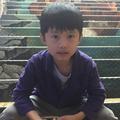 向向向里头像