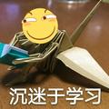 ---海盗船长头像