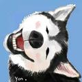 Typing1119头像