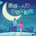 我是你的小鱼儿头像