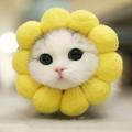 东莞东奥机修组头像