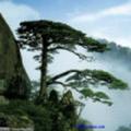 绝对零度2110头像
