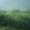 闲游四方154头像