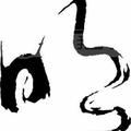 文铎56头像