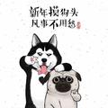熊二的贰头像