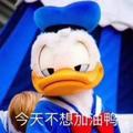 z_cccola · 威兰达车主·车龄4年头像