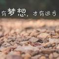 心若向阳273头像