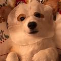 寒月夜476头像