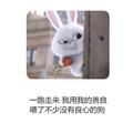 自由的风745头像