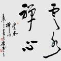 云水禅心48137152头像