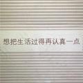 阳同学168头像