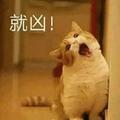 落雨583头像