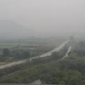 三环酒香头像